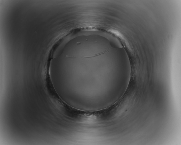 X0000088850640200706081135