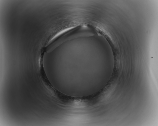 X0000088850641200706081135