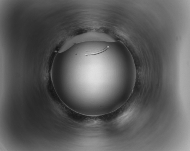 X0000088850642200706081135