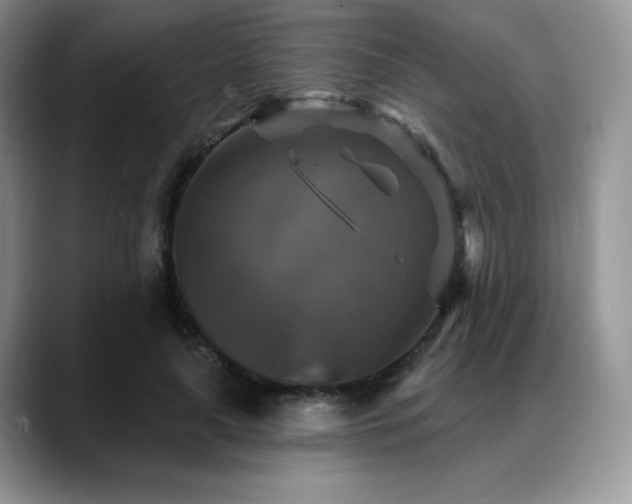 X0000088850643200706081135