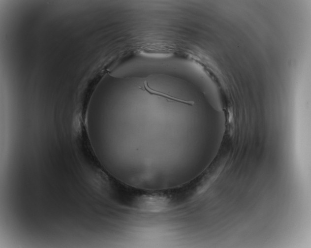 X0000088850644200706081135