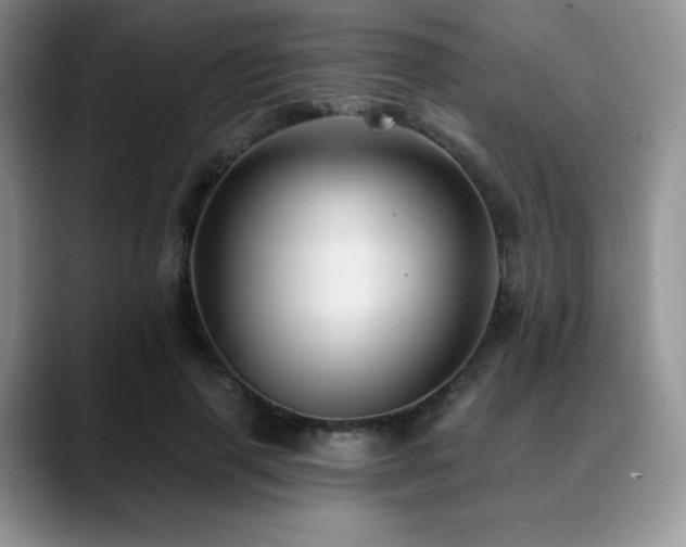 X0000088850645200706081135