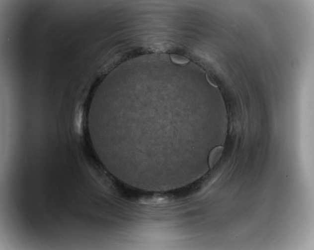 X0000088850647200706081135