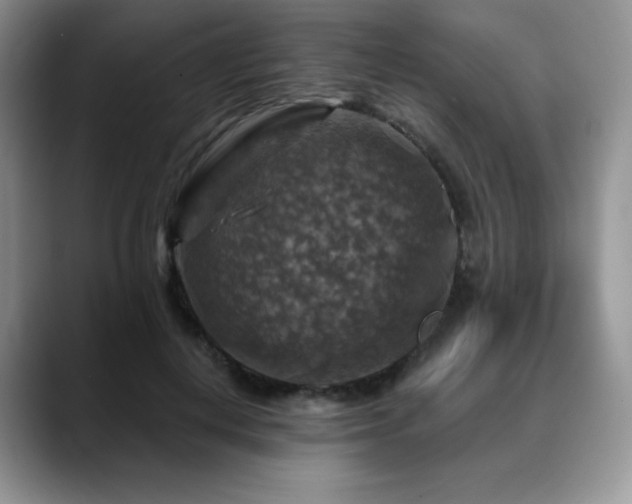 X0000088850648200706081135