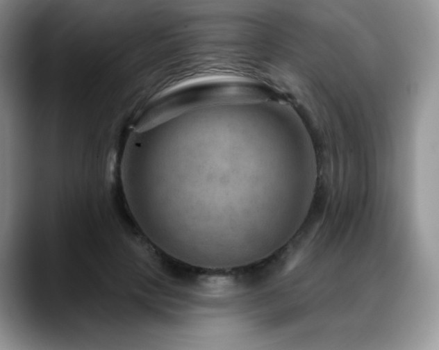 X0000088850649200706081135