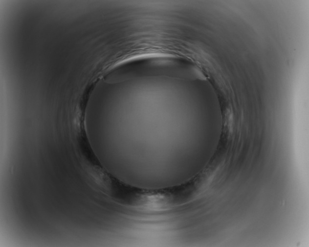 X0000088850650200706081135