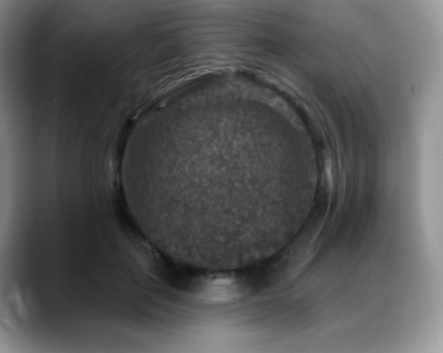 X0000088850651200706081135