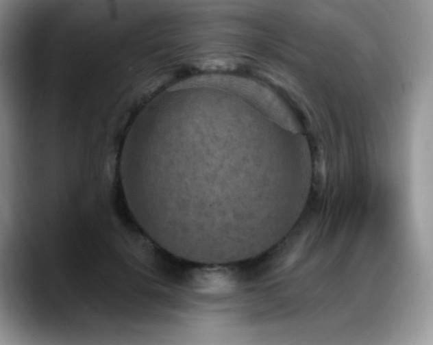 X0000088850652200706081135