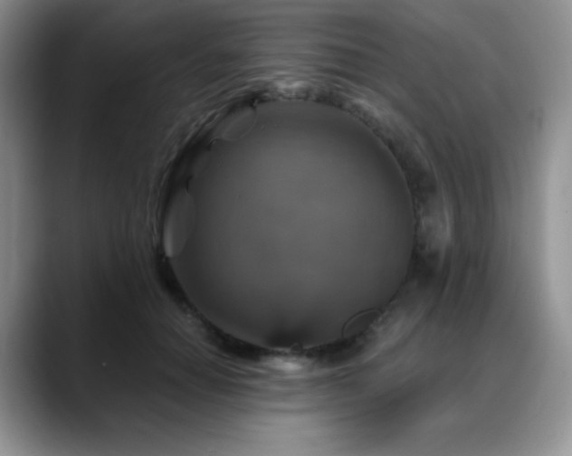 X0000088850654200706081135