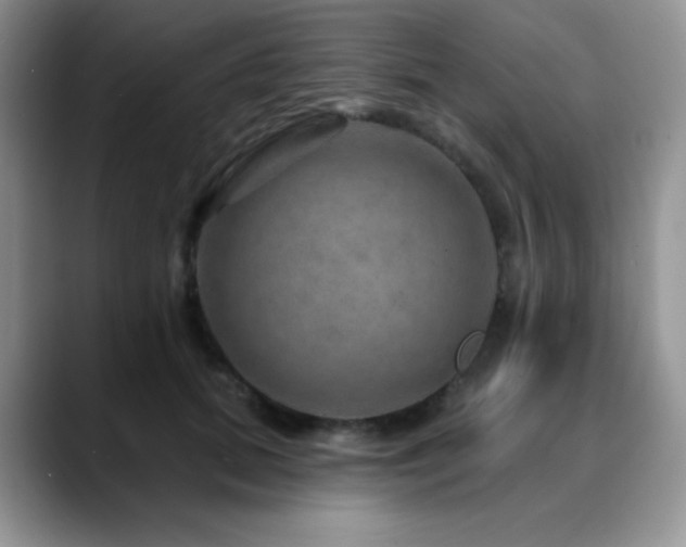 X0000088850655200706081135
