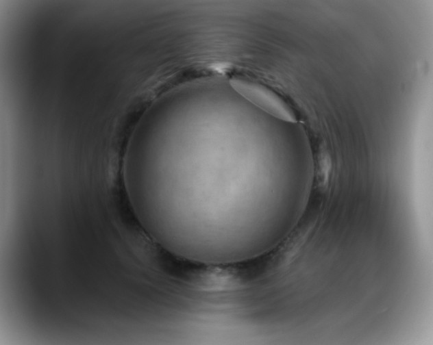 X0000088850656200706081135