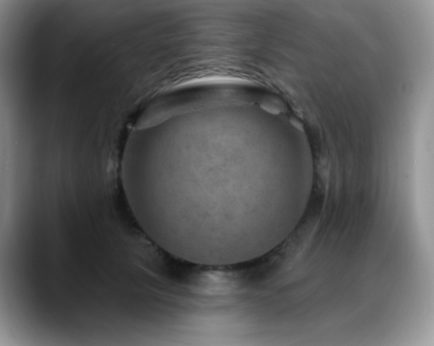 X0000088850657200706081135