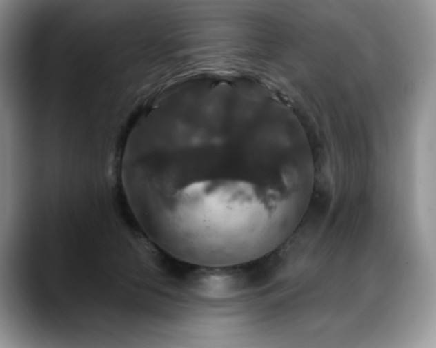 X0000088850658200706081136