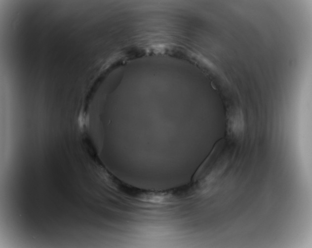 X0000088850661200706081136