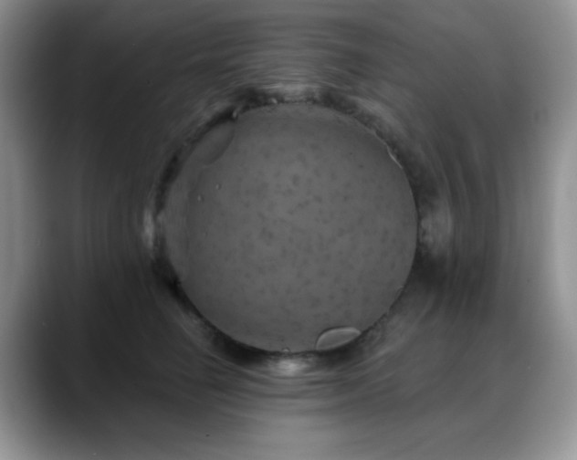 X0000088850662200706081136