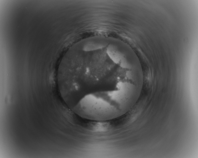X0000088850663200706081136