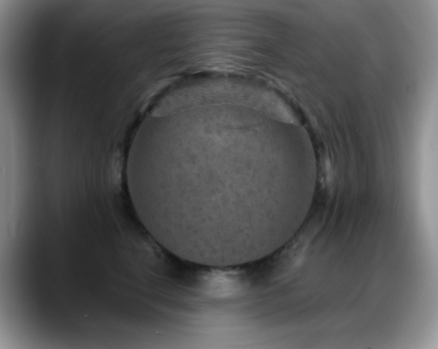 X0000088850664200706081136
