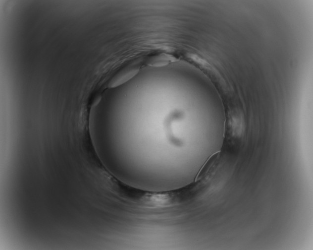 X0000088850665200706081136