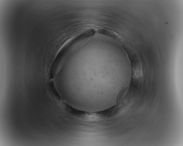 X0000088850666200706081136