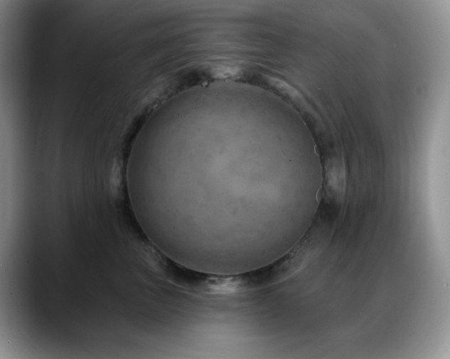 X0000088850667200706081136