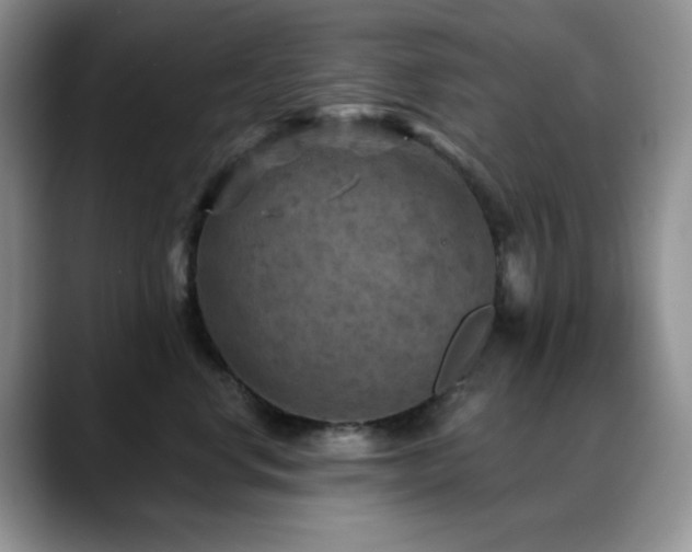 X0000088850668200706081136