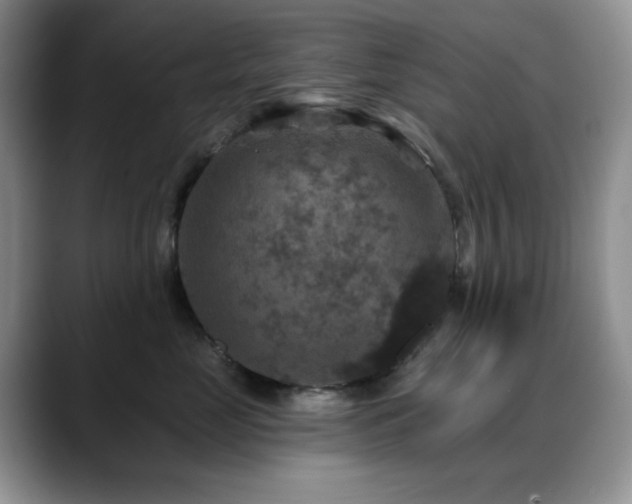 X0000088850669200706081136
