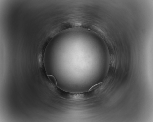 X0000088850670200706081136