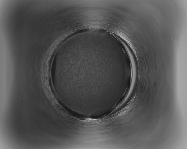 X0000088850673200706081135