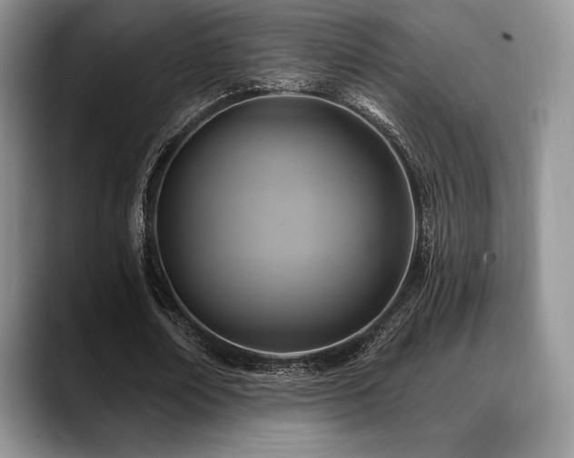 X0000088850674200706081135