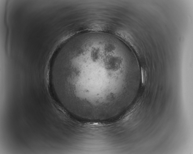 X0000088850675200706081135