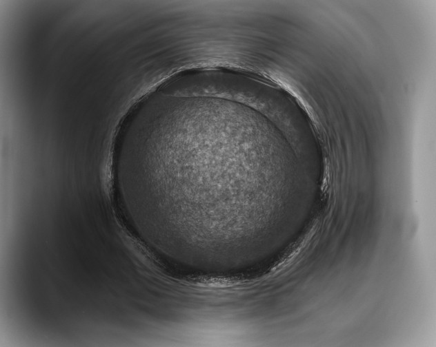 X0000088850677200706081135