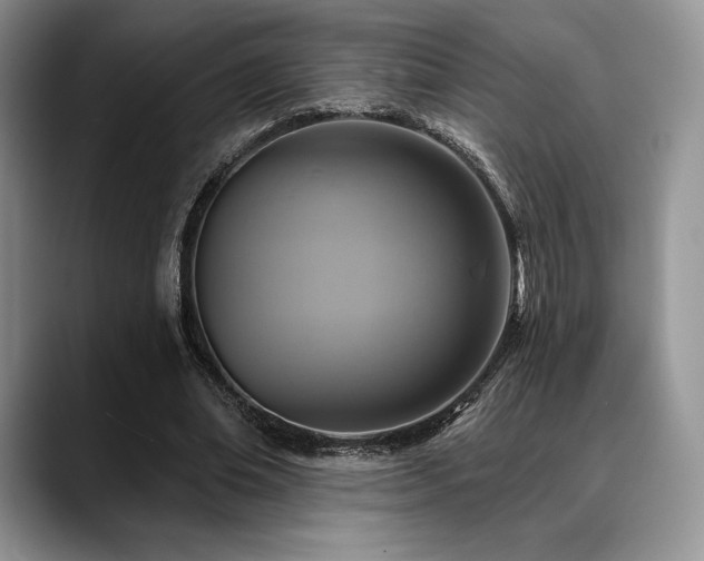 X0000088850678200706081135