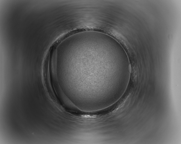 X0000088850680200706081135