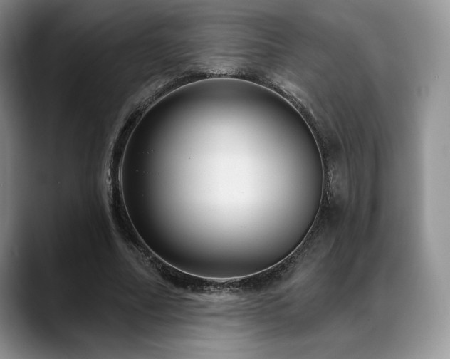 X0000088850682200706081135