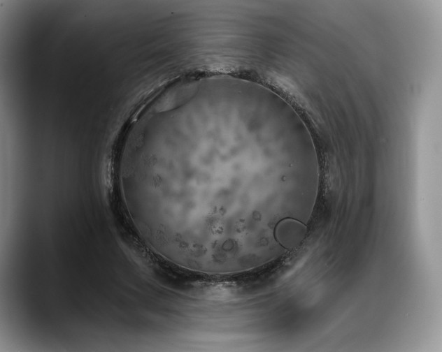 X0000088850683200706081135