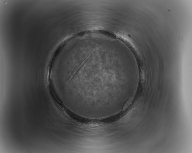 X0000088850684200706081135