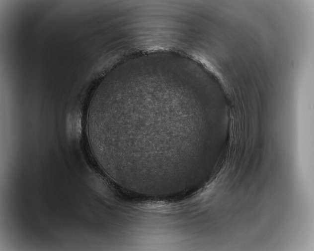 X0000088850685200706081135