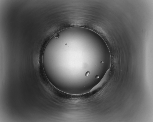 X0000088850686200706081135