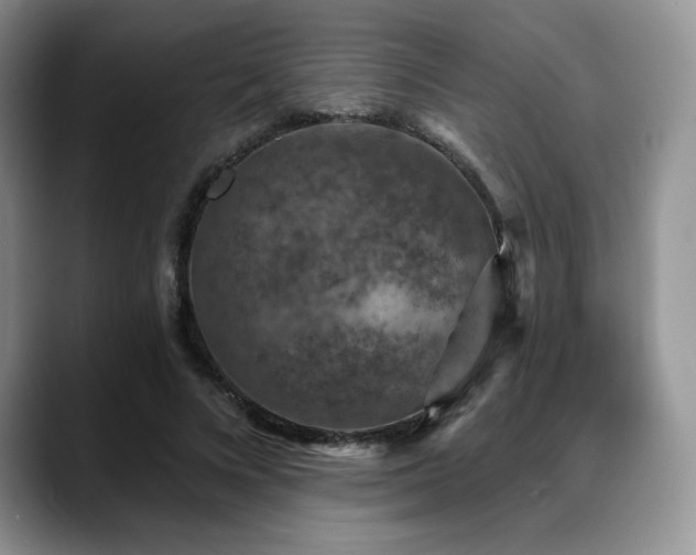 X0000088850688200706081135