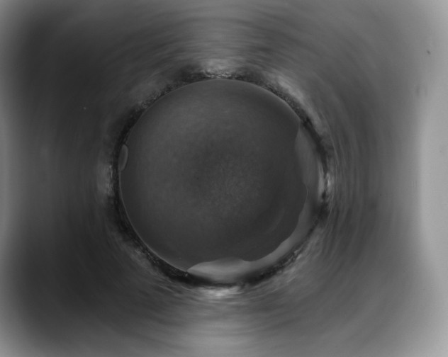 X0000088850689200706081135