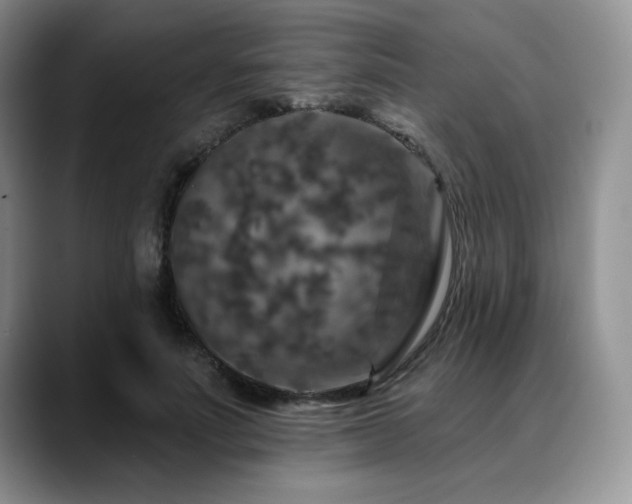 X0000088850691200706081135