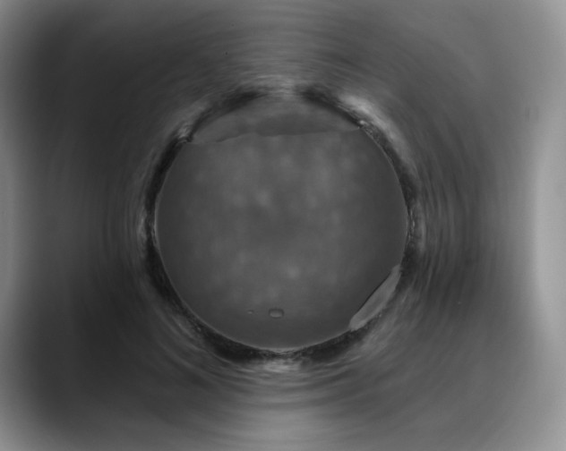 X0000088850692200706081135