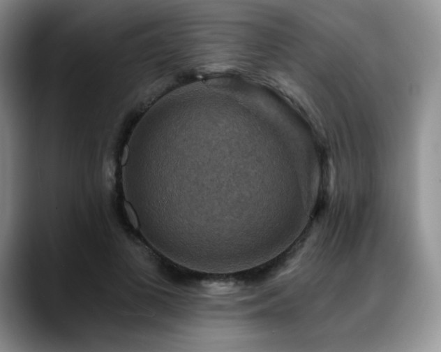 X0000088850693200706081135
