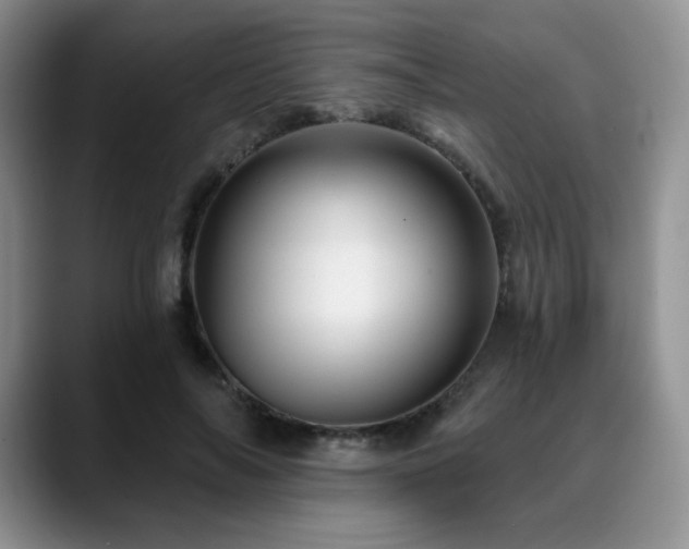 X0000088850694200706081135