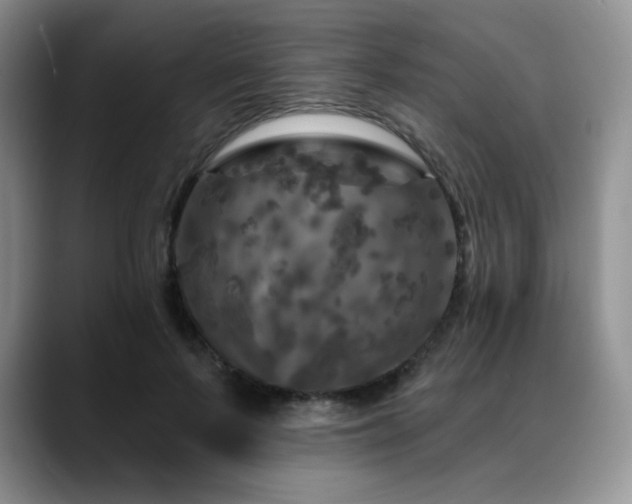 X0000088850695200706081135