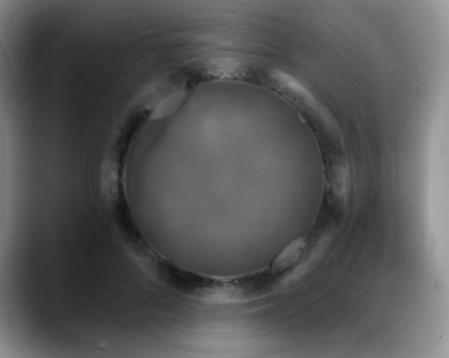 X0000088850696200706081135