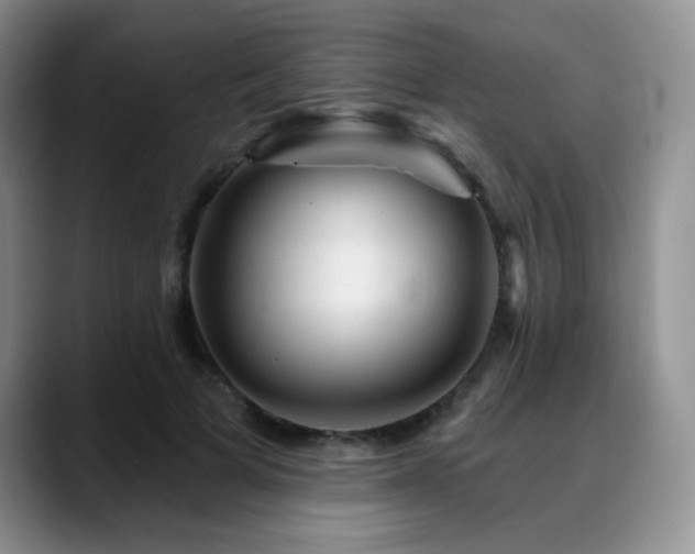 X0000088850697200706081135