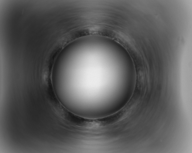 X0000088850698200706081135