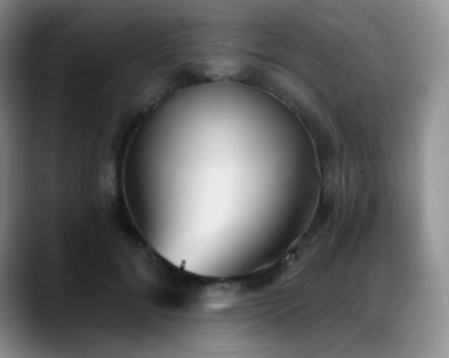 X0000088850700200706081135