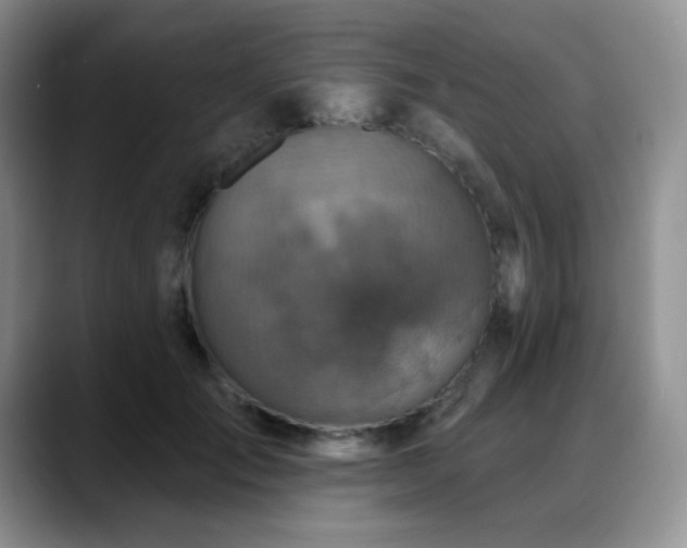 X0000088850701200706081135